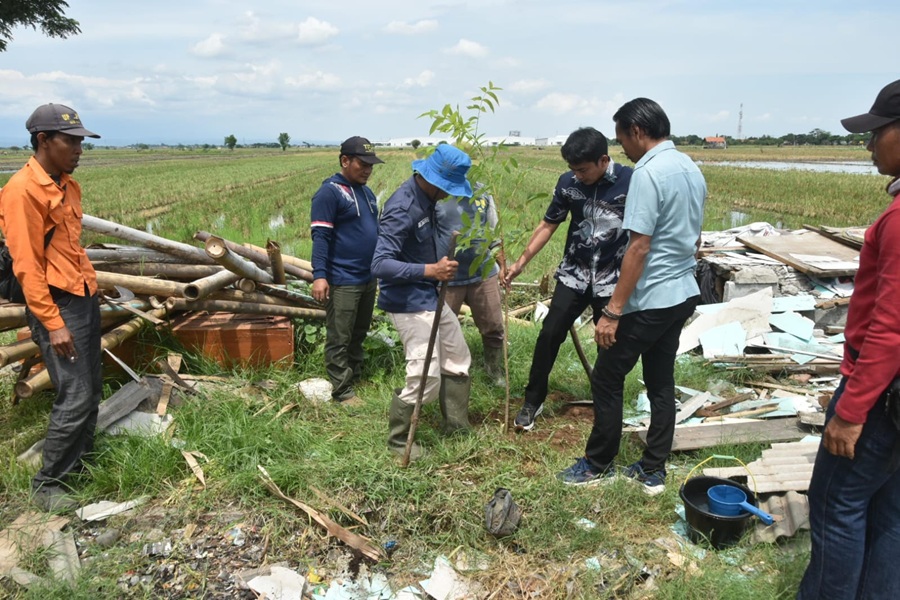 Cirebon Lawan Banjir dan Bangli dengan Strategi Langkah Hijau